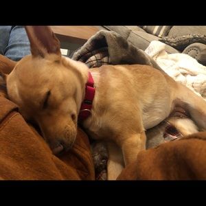 Meet your Posher, Jon